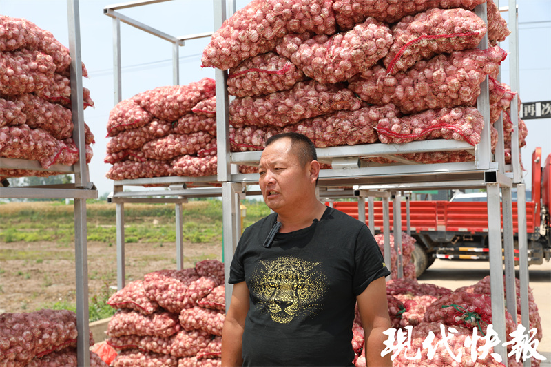 邳州大蒜今日价格，市场走势与产业深度分析