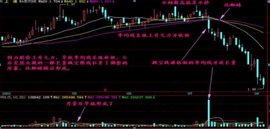 金蜘蛛最新招聘信息与职业前景展望分析