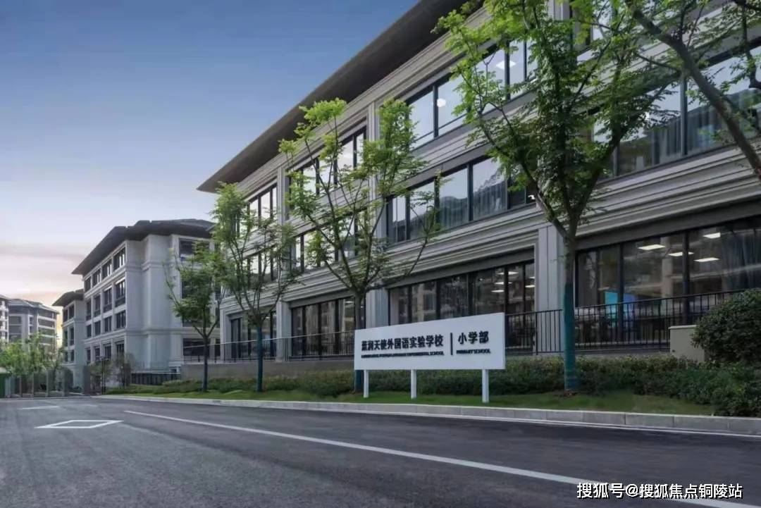 德瑞泽集团最新动态报道