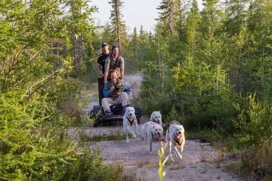 智能导航新体验，下载导航犬最新版语音功能