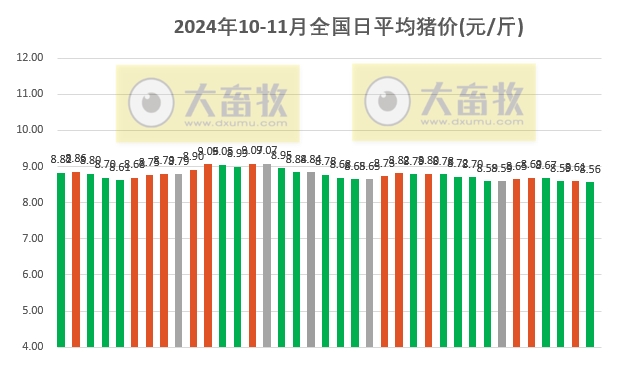 今日灵宝猪价更新，市场走势及影响因素深度解析