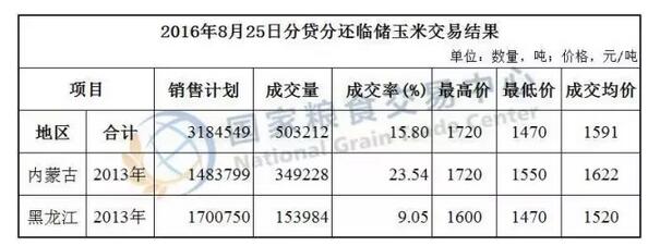 临储玉米最新消息深度解析，今日动态一览