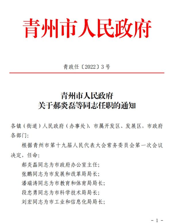 松树坝村委会人事任命揭晓，村级治理迈向新台阶