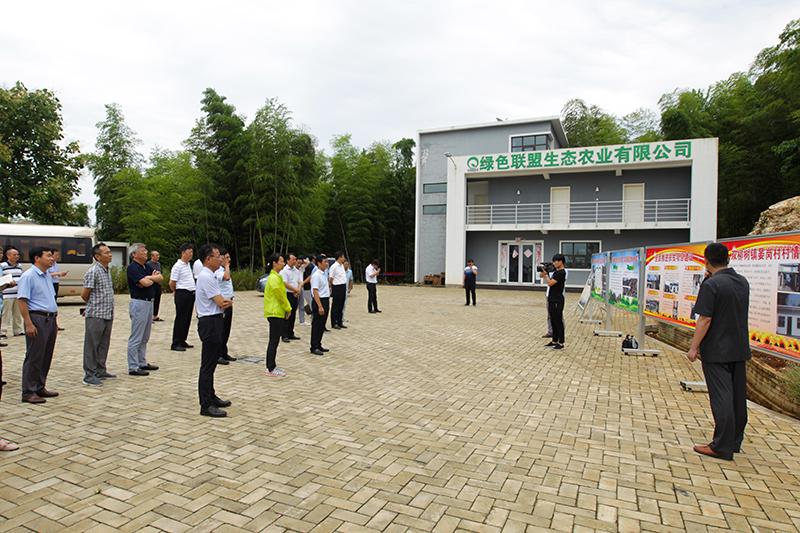 黄湖镇领导最新概述