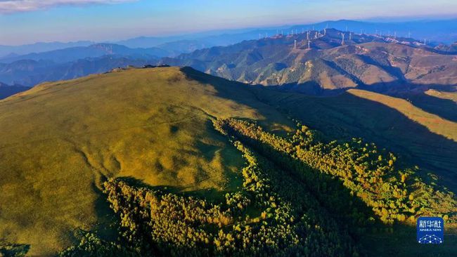 大同县天气预报更新，最新天气状况及趋势分析