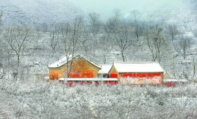 洼雪村交通新闻更新，现代化交通网络重塑乡村风采