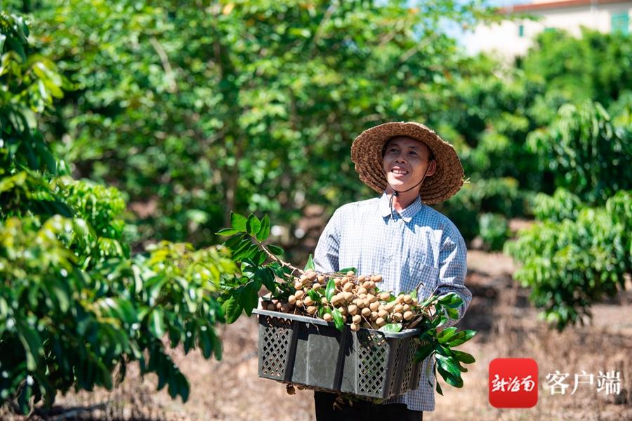 荣光农场迈向现代化交通体系步伐更新，最新交通新闻揭晓