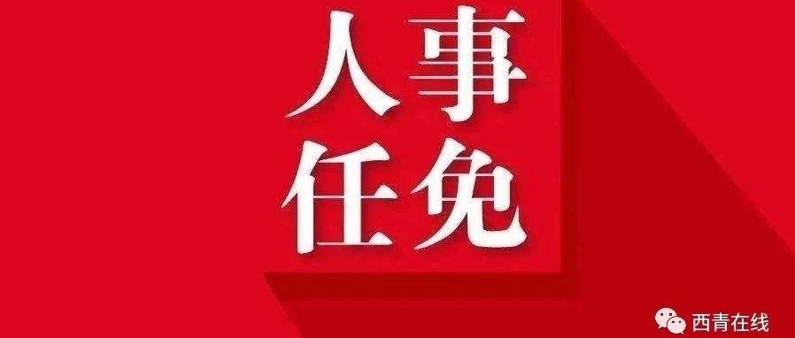 西青区人事任命新阵容，激发潜能，共创未来新动能