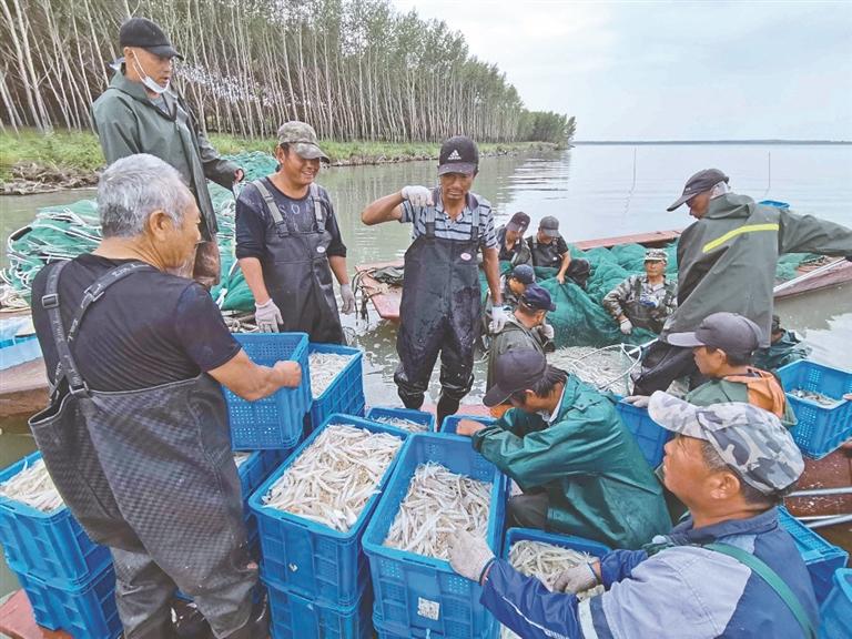 杜尔伯特蒙古族自治县农业农村局最新动态