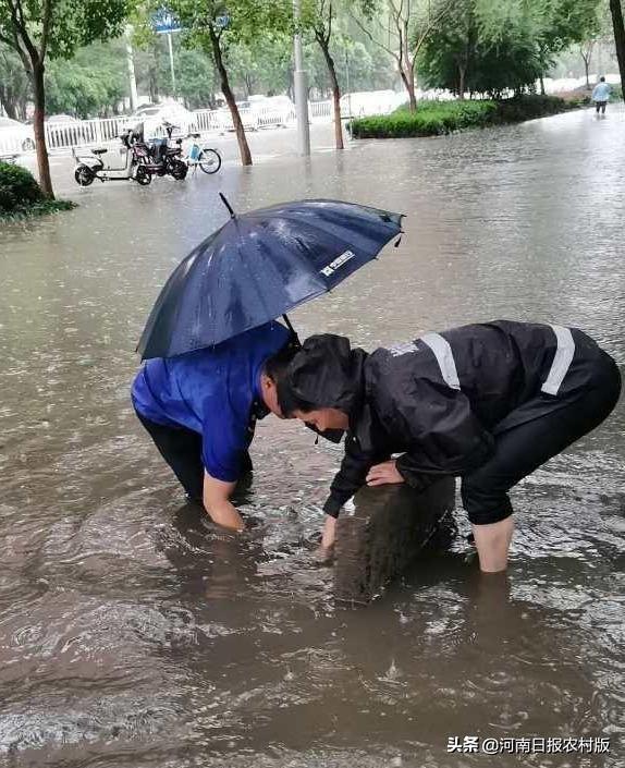 漯河市园林管理局推动城市绿化进程，打造绿色生态家园新篇章