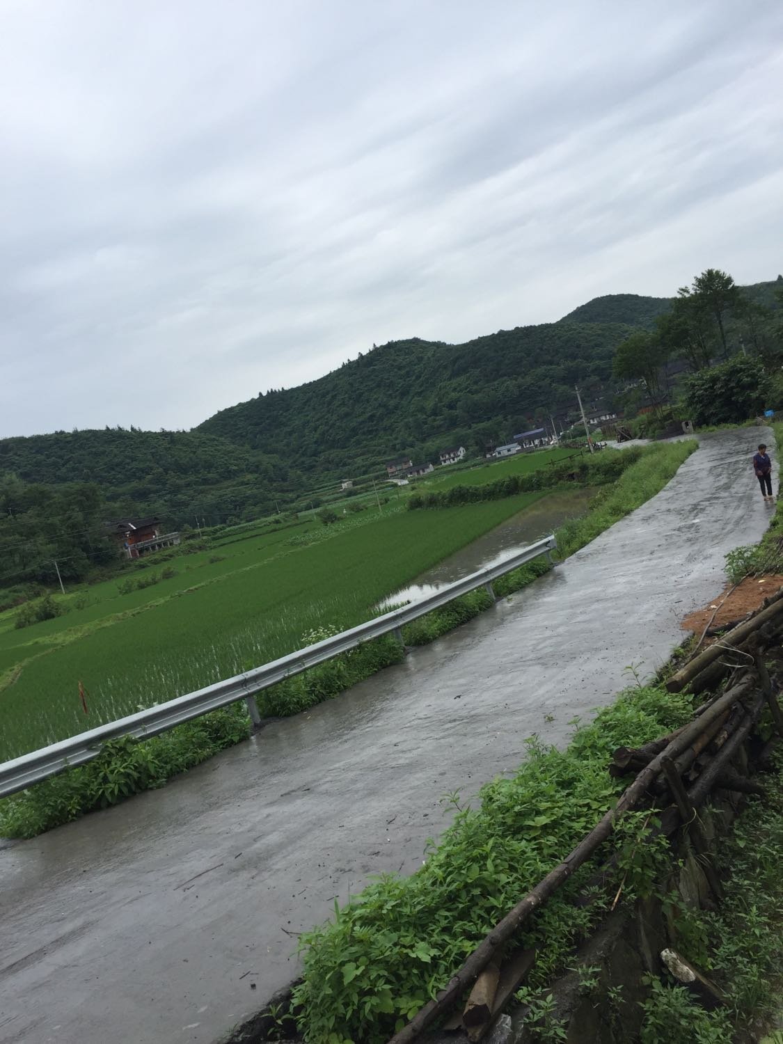 小舌村委会天气预报更新通知