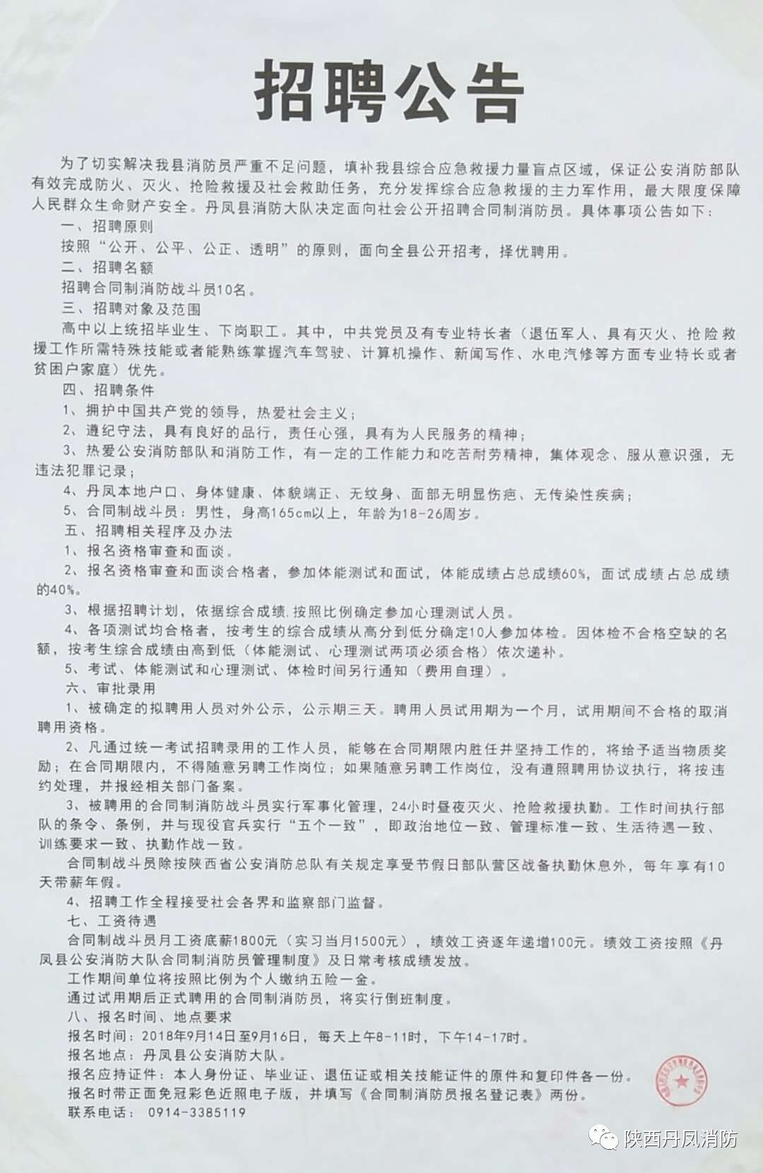 丹凤县卫生健康局最新招聘启事概览