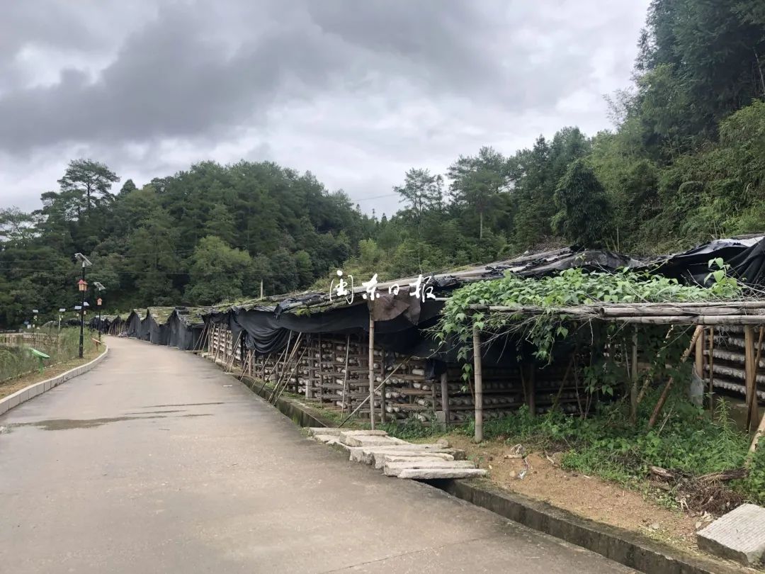 芹洋乡天气预报更新通知