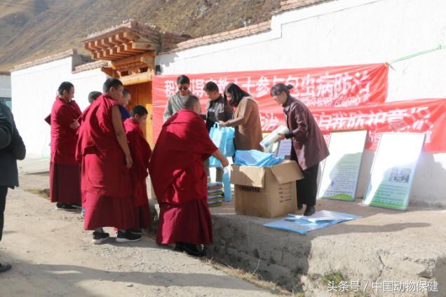 贵南县卫生健康局最新动态报道