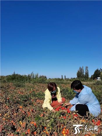 塔城地区市农业局领导团队最新概述