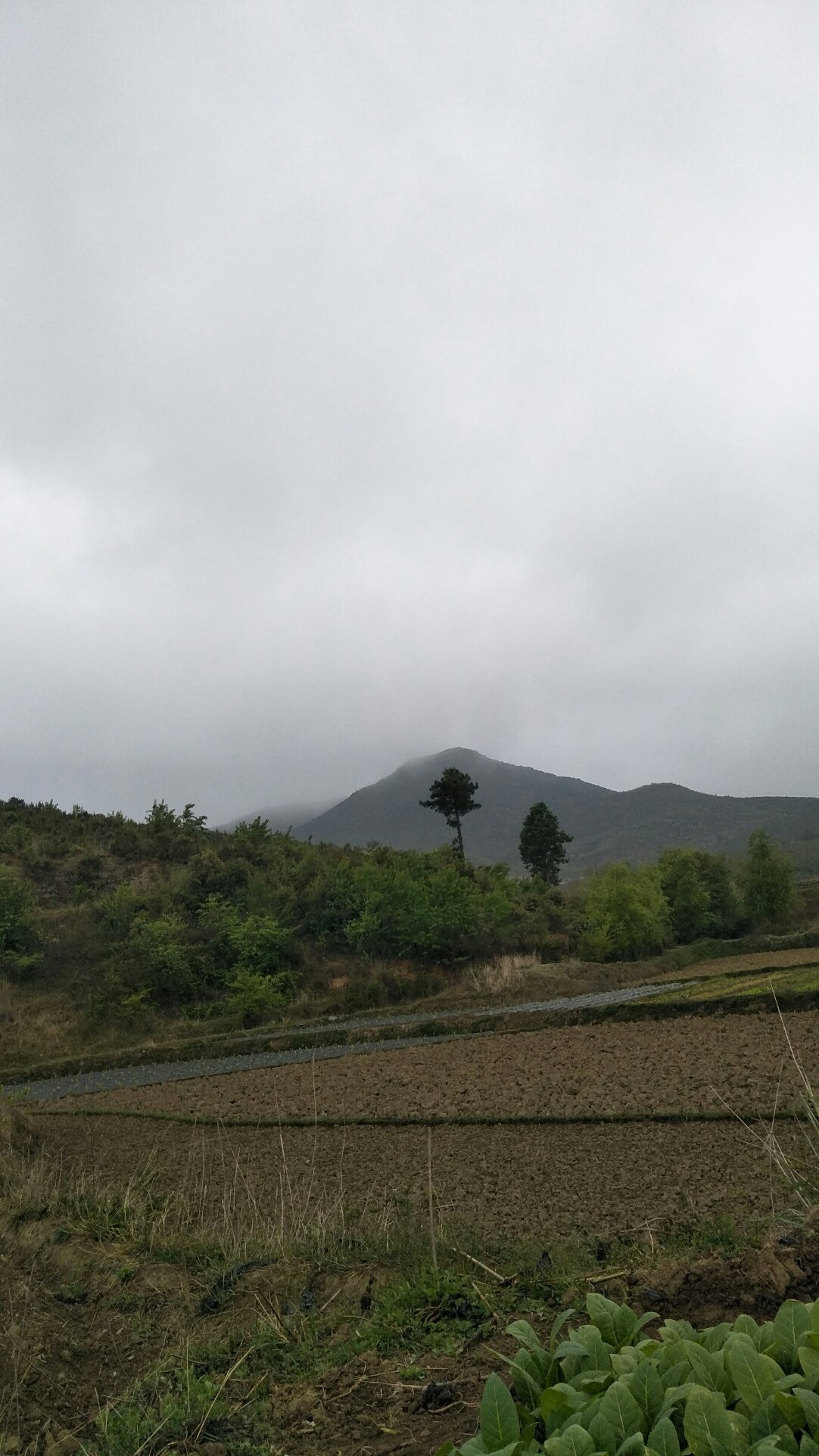 下二台乡最新天气预报通知