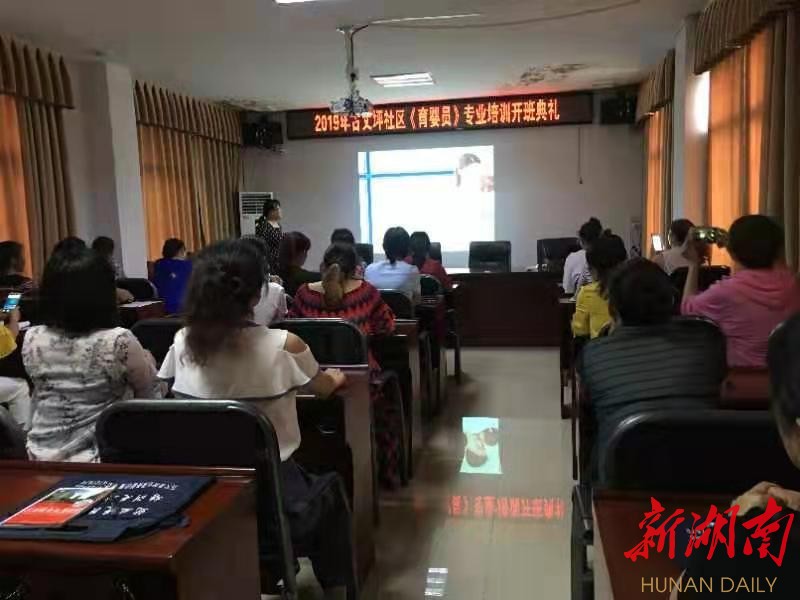 古丈县人力资源和社会保障局新项目，地方经济与社会发展的核心动力源泉